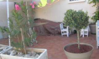 Appartement 3 Pièces 54 m² à louer à Marseille 11 (13011)