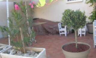 Appartement 3 Pièces 54 m² à louer à Marseille 11 (13011)