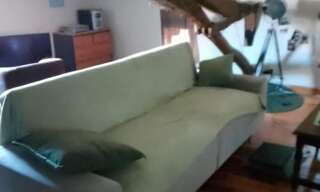 Appartement 2 Pièces 72 m² à louer à Saint-Étienne-de-Tulmont (82410)