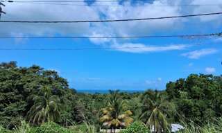 Terrain  7291 m² à vendre à Sainte-Rose (97115)