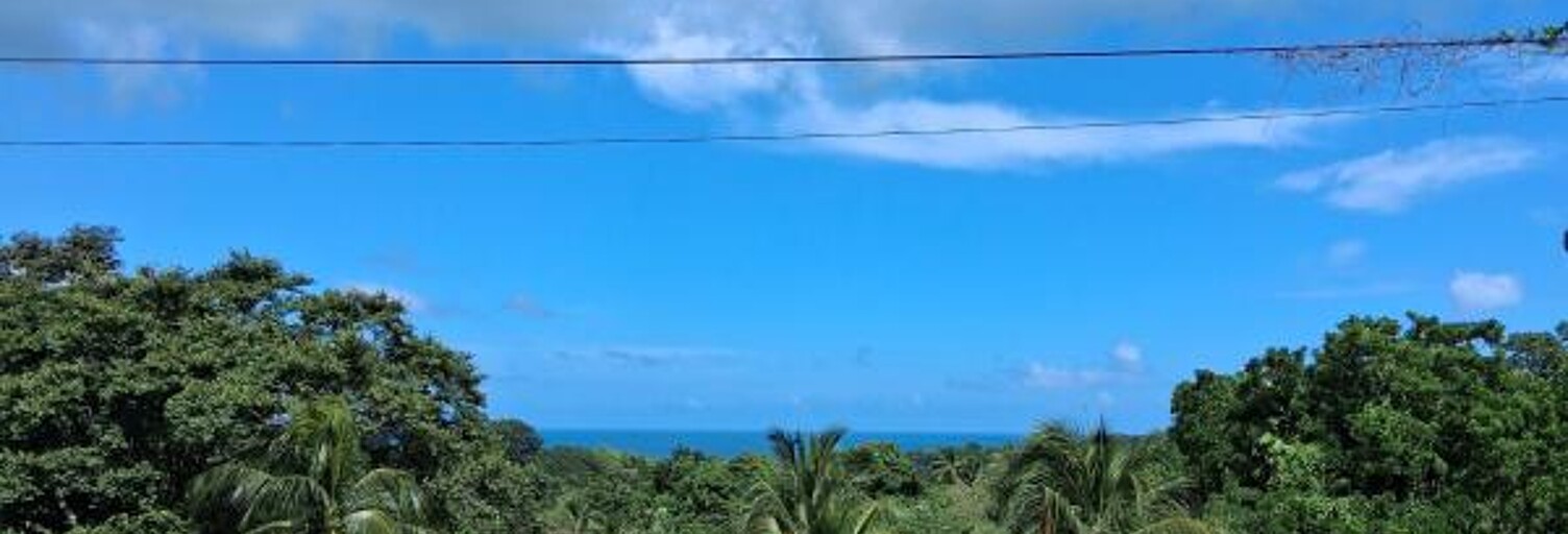 Terrain  7291 m² à vendre à Sainte-Rose (97115)