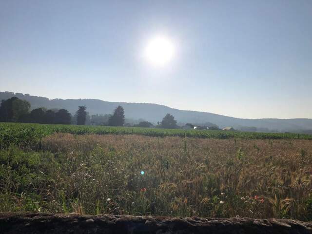 Terrain À Vendre — photo du bien