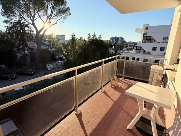 Appartement Type 3 avec double garage — photo 1