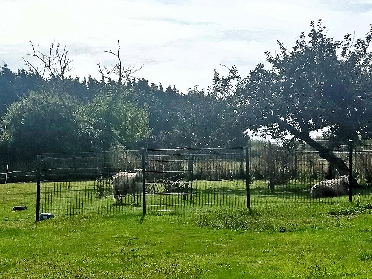  Maison 8 pièces 188 m²