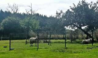 Maison 8 Pièces 188 m² à vendre à Plobannalec-Lesconil (29740)