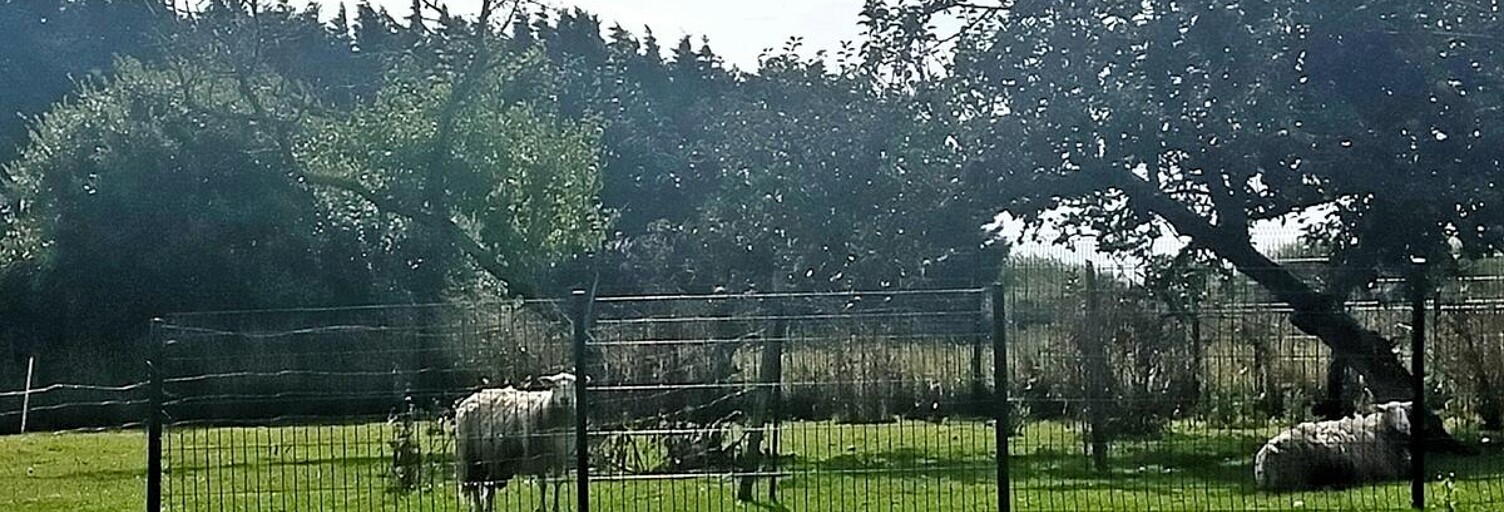 Maison 8 Pièces 188 m² à vendre à Plobannalec-Lesconil (29740)