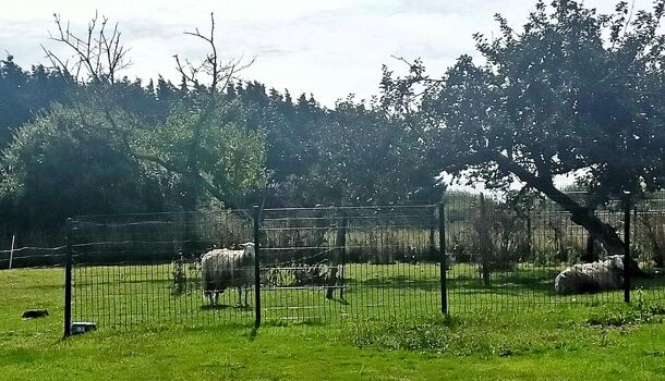 Villa / Maison 8 pièces  à vendre Plobannalec-Lesconil 29740