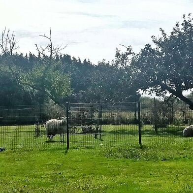 Maison 8 pièces 334400 €