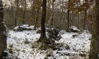 Terrain  23260 m² à vendre à Saint-Germain-de-Modéon (21530)