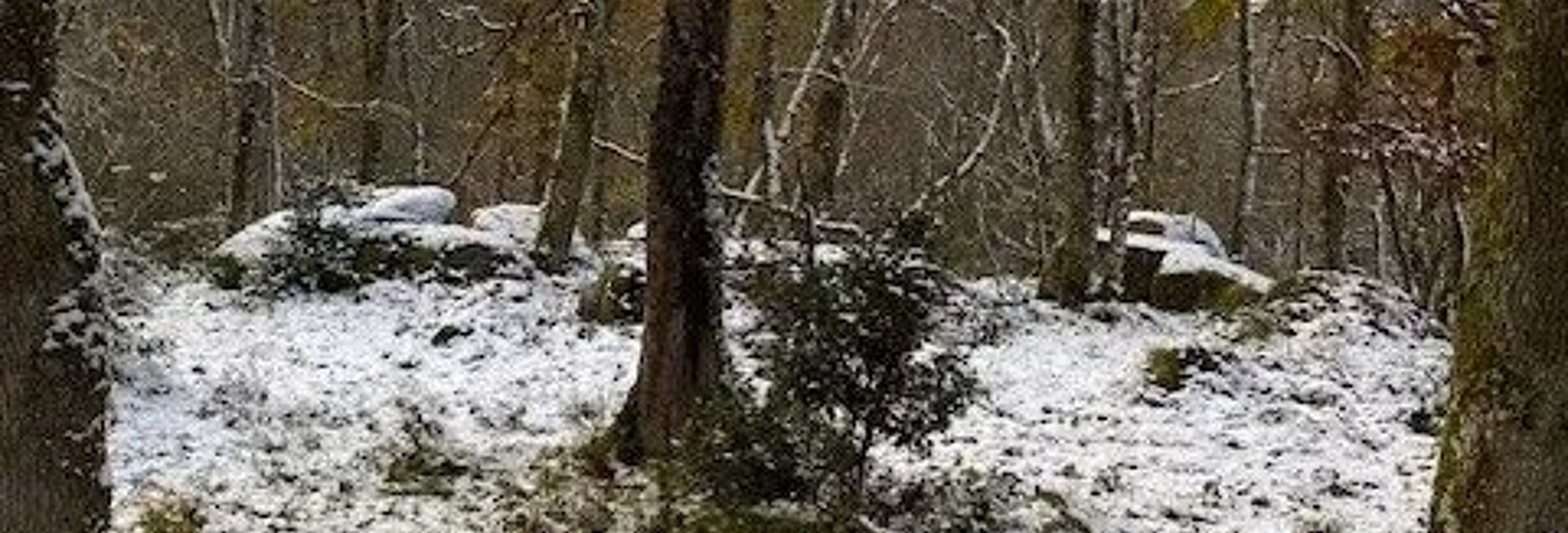 Terrain  23260 m² à vendre à Saint-Germain-de-Modéon (21530)