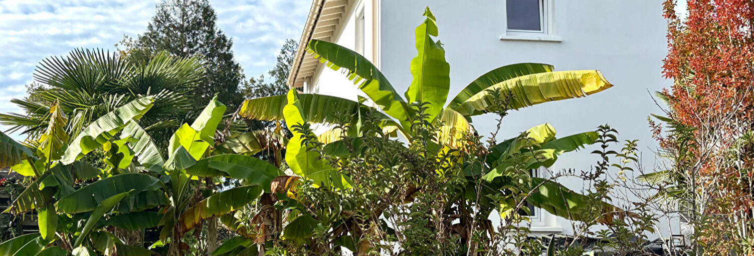 Maison 4 Pièces 120 m² à vendre à Saint-Martin-de-Seignanx (40390)