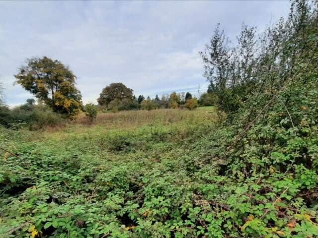 Terrain 2177 m² à Luçay-le-Mâle — photo du bien