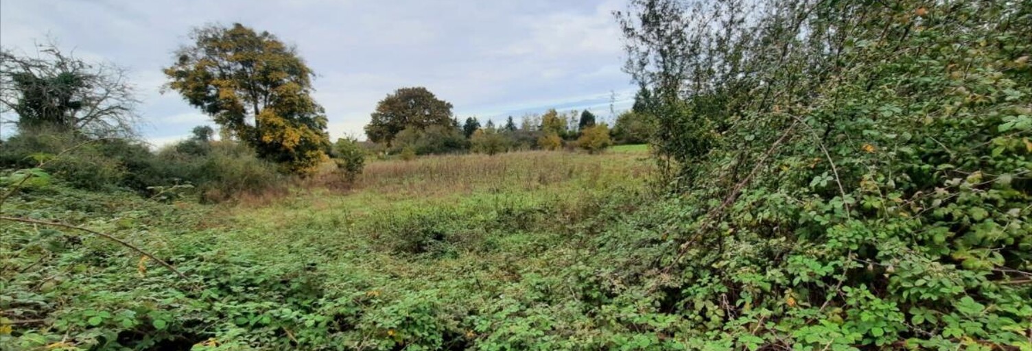 Terrain  2177 m² à vendre à Luçay-le-Mâle (36360)