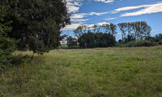 Terrain  6000 m² à vendre à Argelès-sur-Mer (66700)