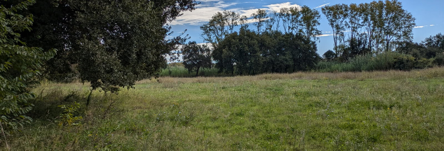 Terrain  6000 m² à vendre à Argelès-sur-Mer (66700)