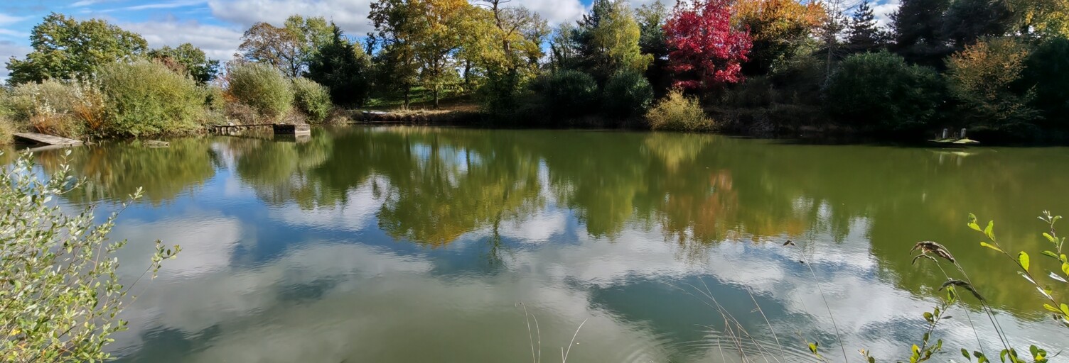 Terrain  113246 m² à vendre à Néris-les-Bains (03310)