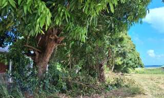 Terrain  800 m² à vendre à Sainte-Rose (97115)