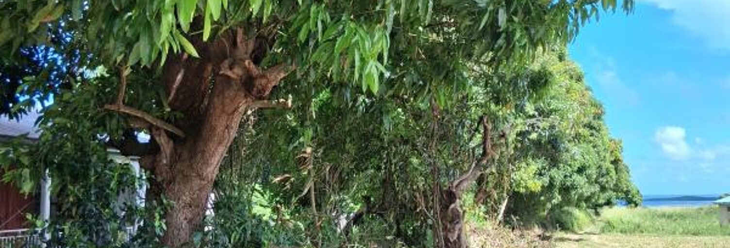 Terrain  800 m² à vendre à Sainte-Rose (97115)