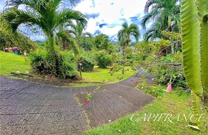   À vendre – Charmante maison avec piscine et studio indépendant à Ducos (97224) — photo 3