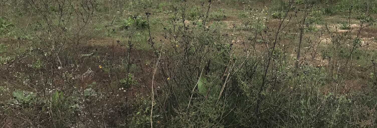 Terrain 153 m² à construire Brignoles (83170)