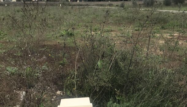 Terrain  à vendre Brignoles 83170