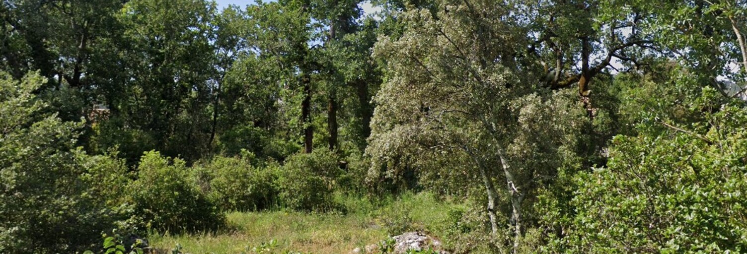 Terrain 1500 m² à construire Brignoles (83170)