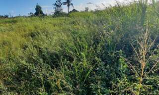 Terrain   m² à vendre à Saint-Benoît (97470)