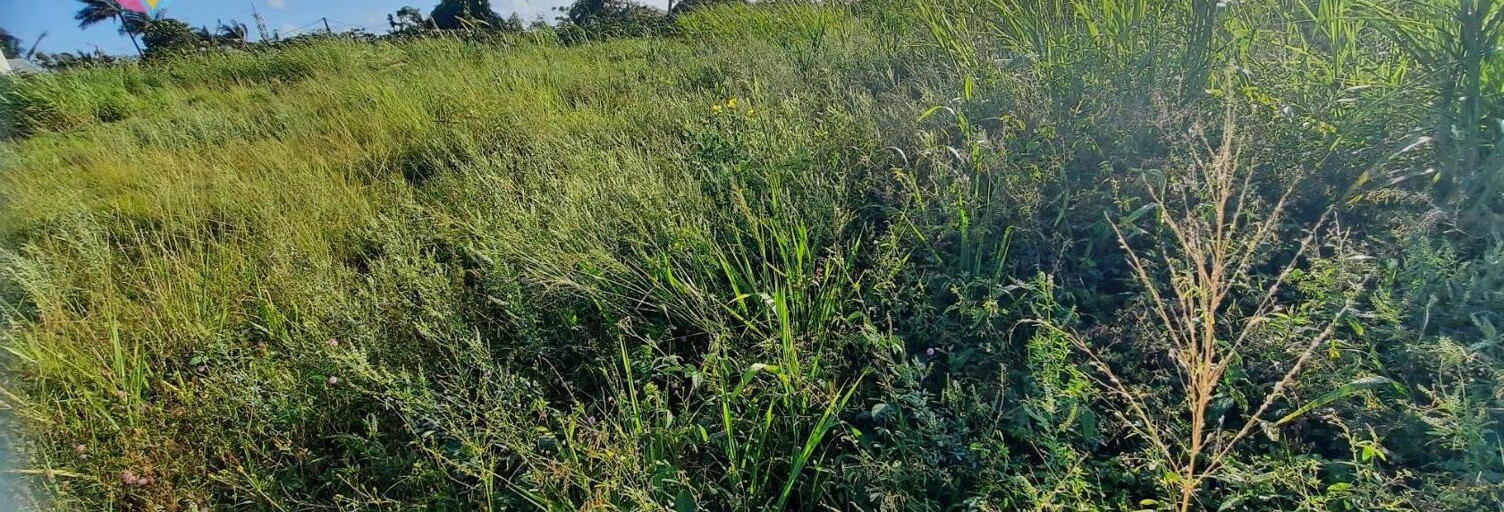 Terrain   m² à vendre à Saint-Benoît (97470)