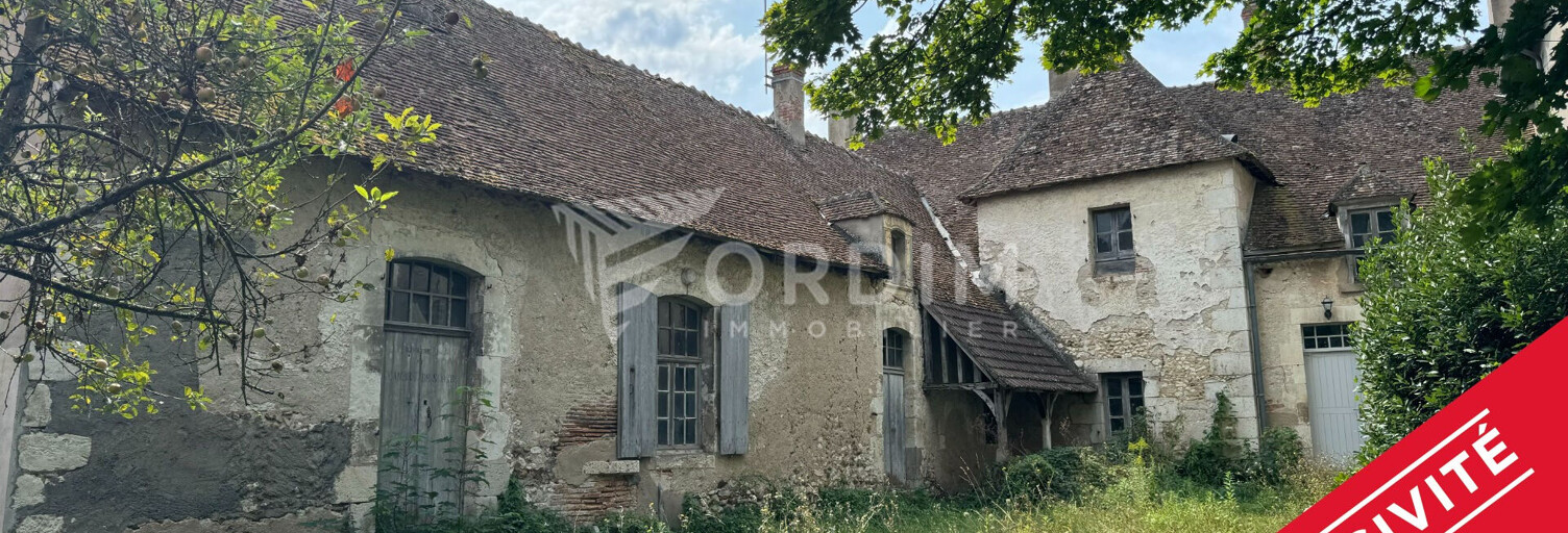 Maison 11 Pièces 362 m² à vendre à Léré (18240)