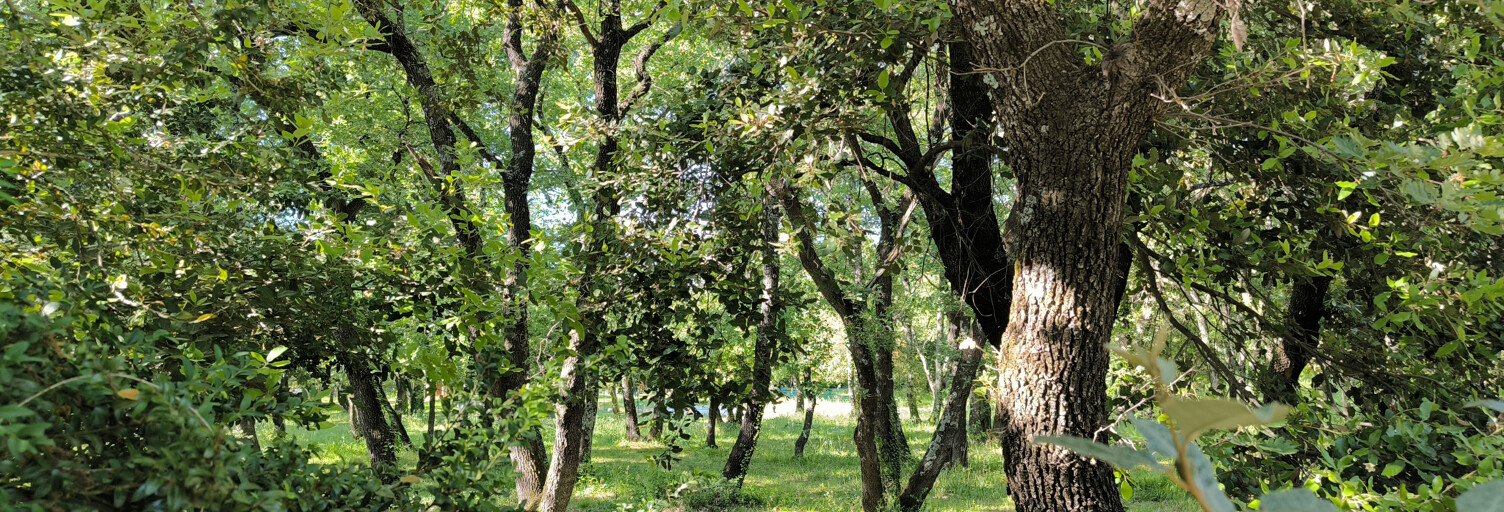 Terrain  600 m² à vendre à Saint-Siffret (30700)