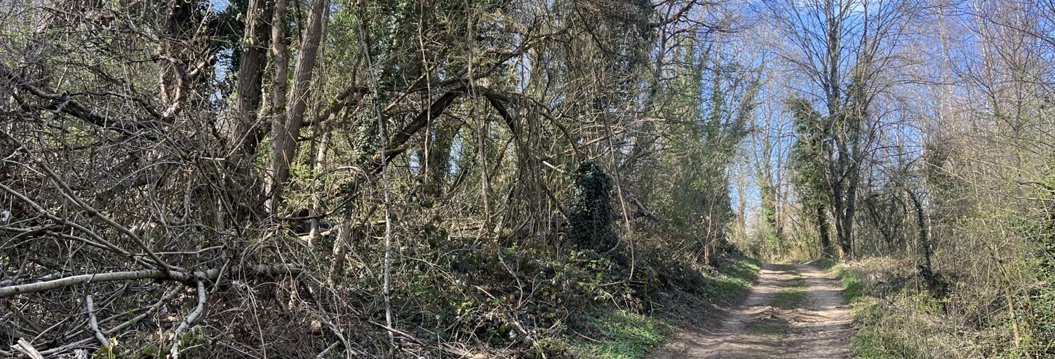 Terrain  5998 m² à vendre à Pont-à-Mousson (54700)