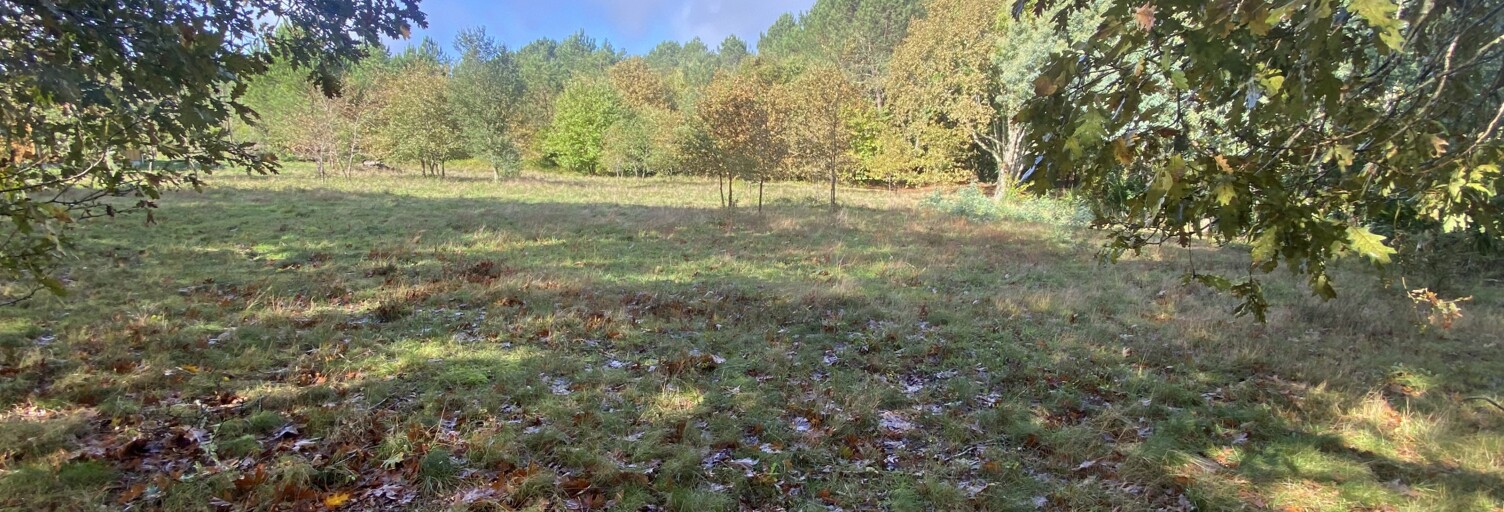Terrain  3893 m² à vendre à Mézos (40170)