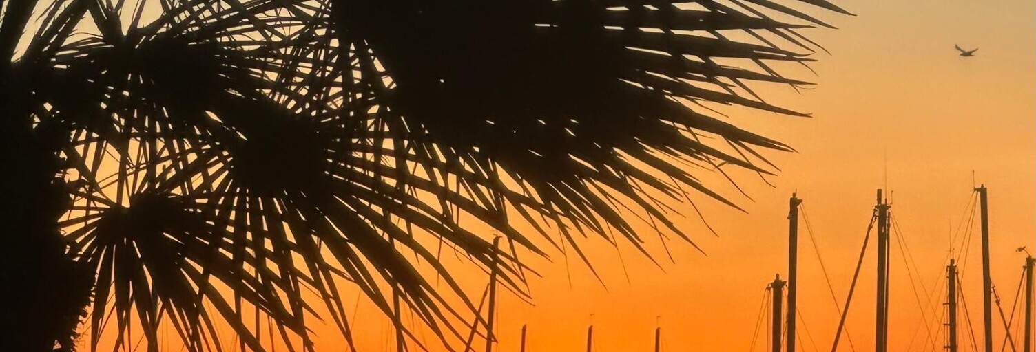 Appartement 2 Pièces 40 m² à vendre à Cannes (06400)