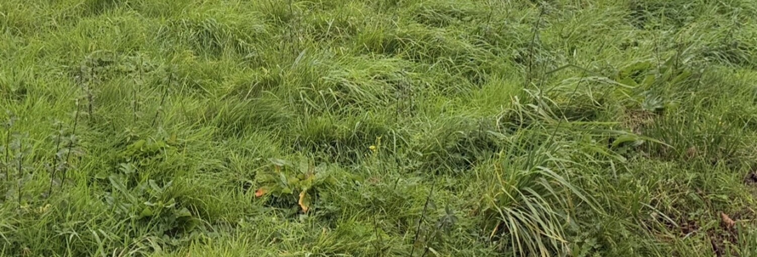 Terrain  2208 m² à vendre à Bourbon-Lancy (71140)