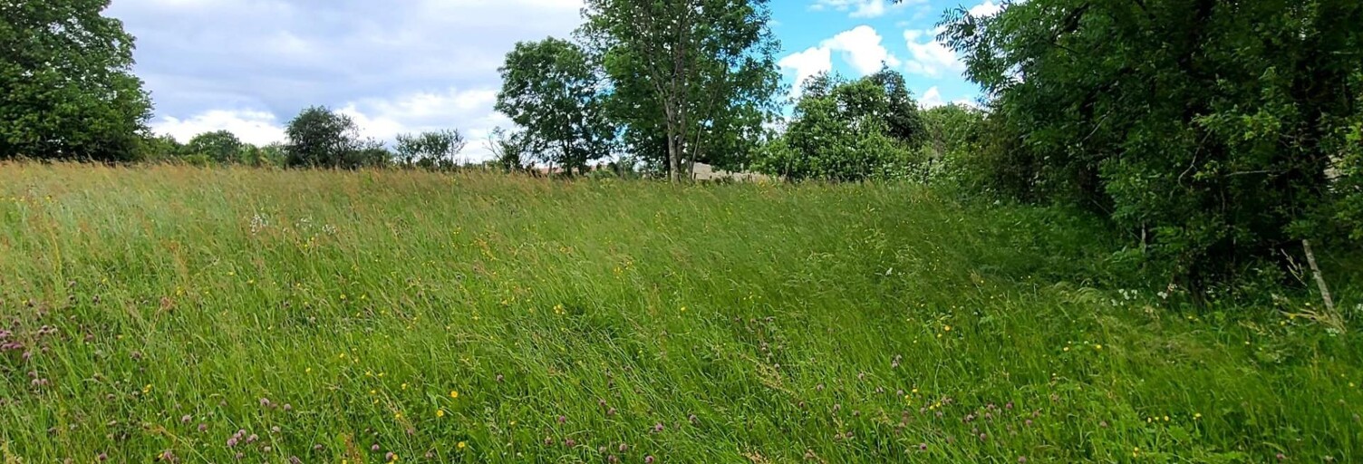 Terrain  1200 m² à vendre à Longcochon (39250)