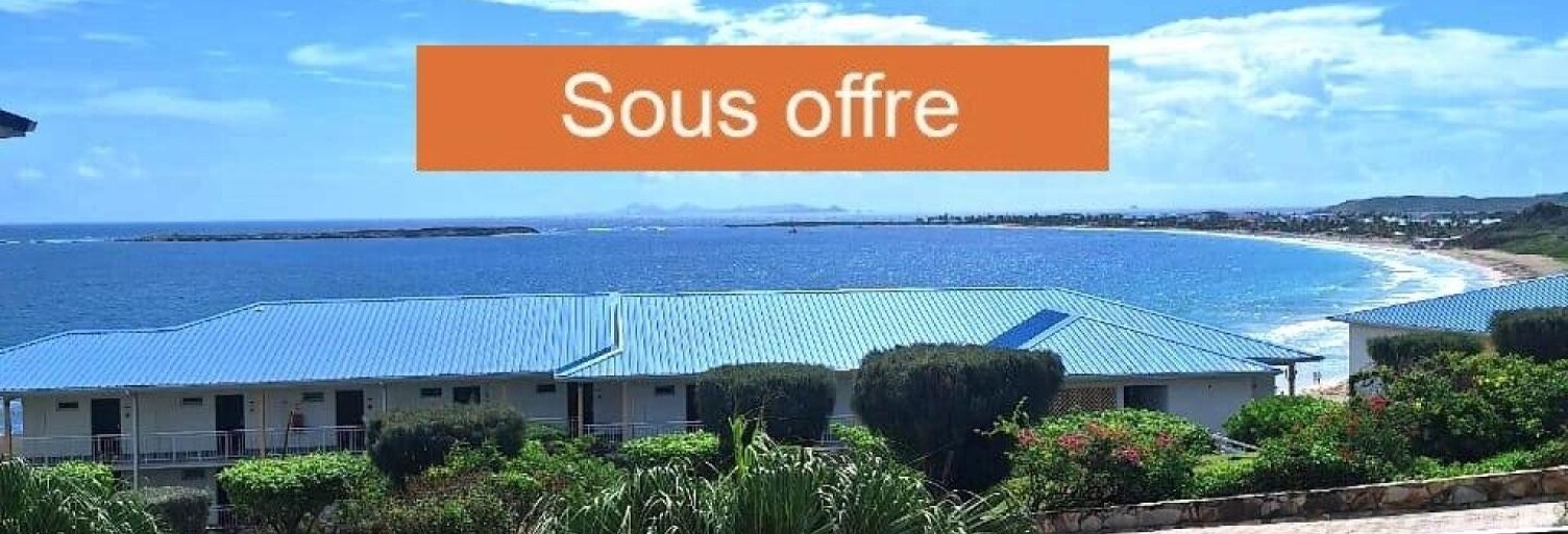 Appartement 1 Pièce 40 m² à vendre à Saint-Martin (65360)