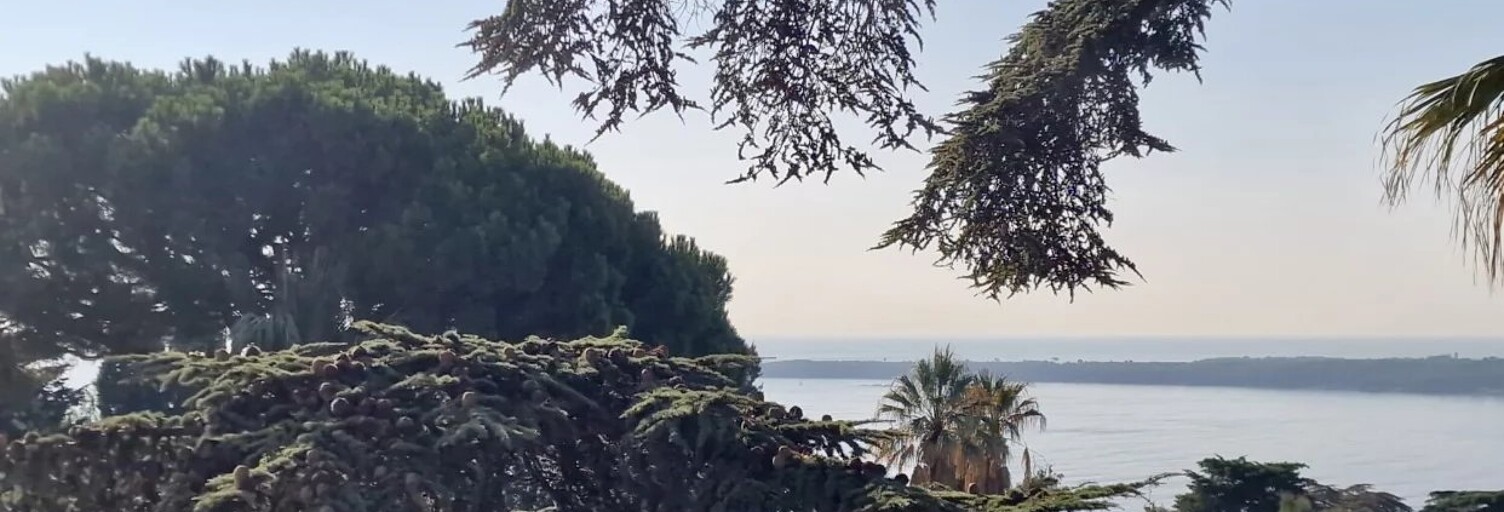 Appartement 3 Pièces 105 m² à vendre à Cannes (06400)