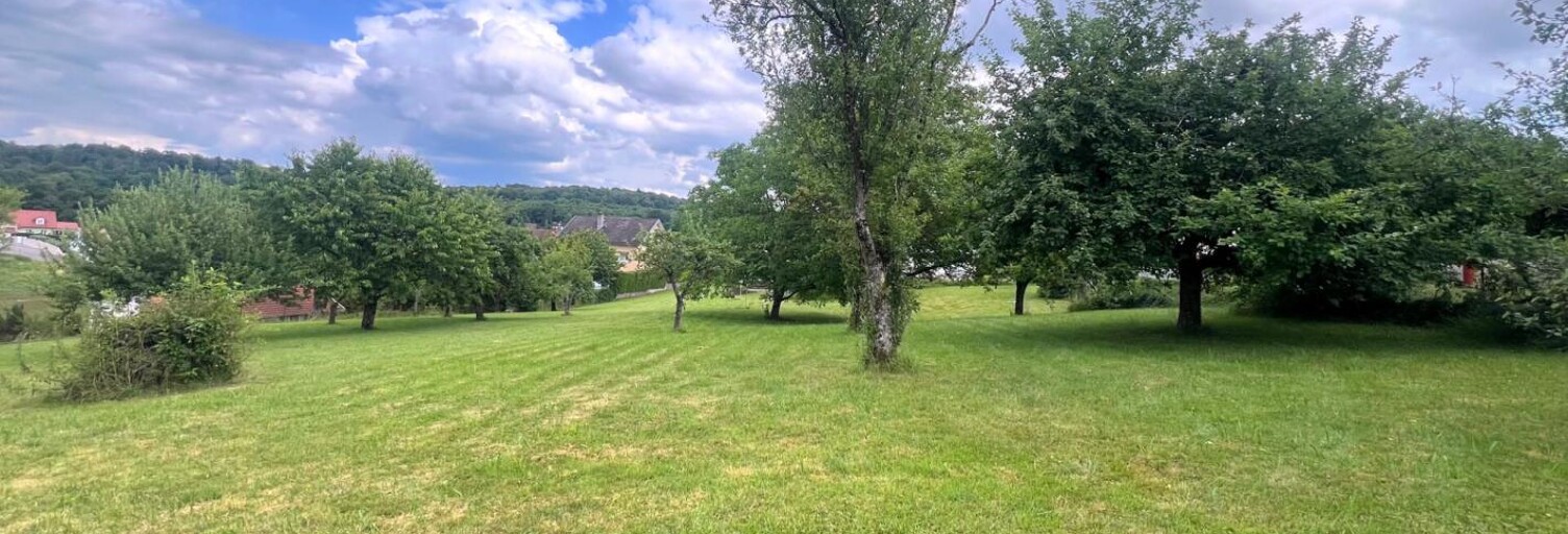 Terrain  1000 m² à vendre à Dung (25550)