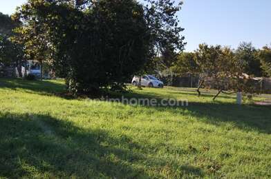 Terrain  71500 €