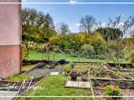 Maison à vendre en viager 1 chambre 62 m² à Fremifontaine (88) proche de Rambervillers, avec jardin, au calme — photo 4