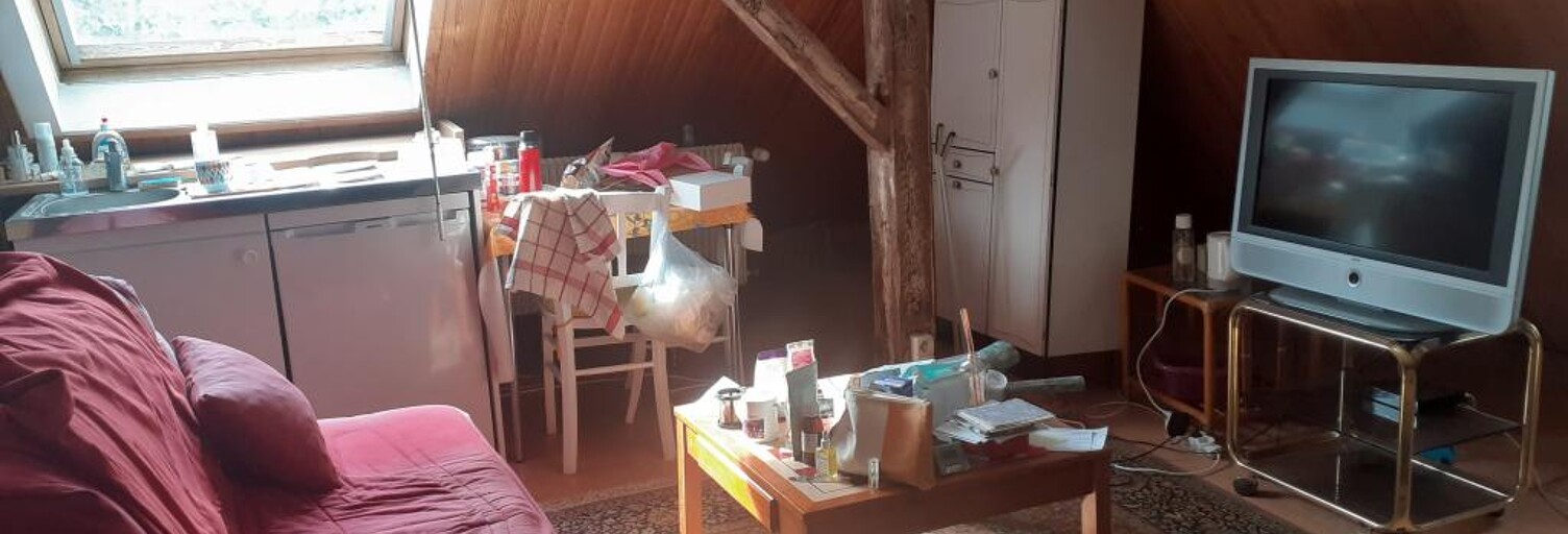 Appartement 1 Pièce 40 m² à louer à Mulhouse (68100)