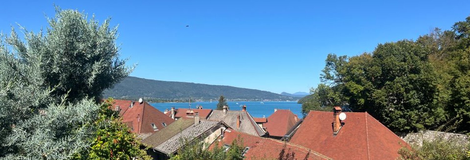 Appartement 1 Pièce 25 m² à louer à Duingt (74410)