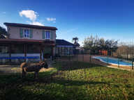 Propriété de 2 maisons avec piscine sur 11ha Armous et Cau ( — photo 3