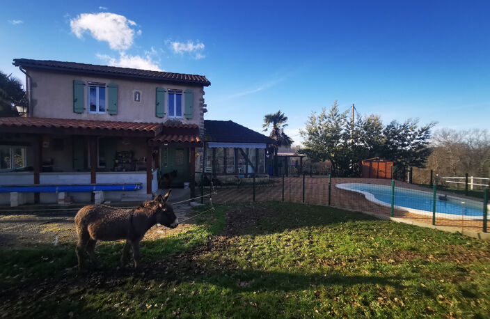 Propriété de 2 maisons avec piscine sur 11ha Armous et Cau ( — photo 3