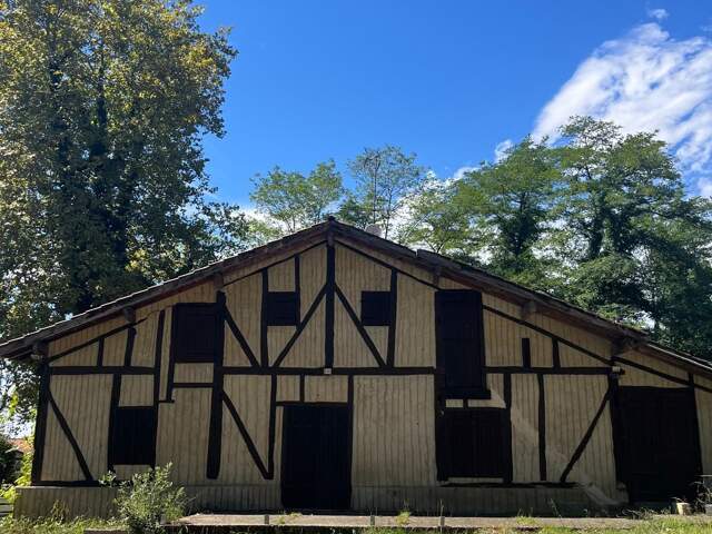 Authentique Ferme avec 5 hectares attenant — photo du bien