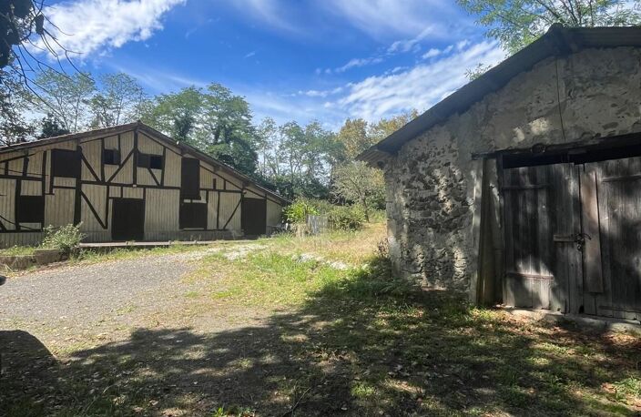 Authentique Ferme avec 5 hectares attenant — photo 3