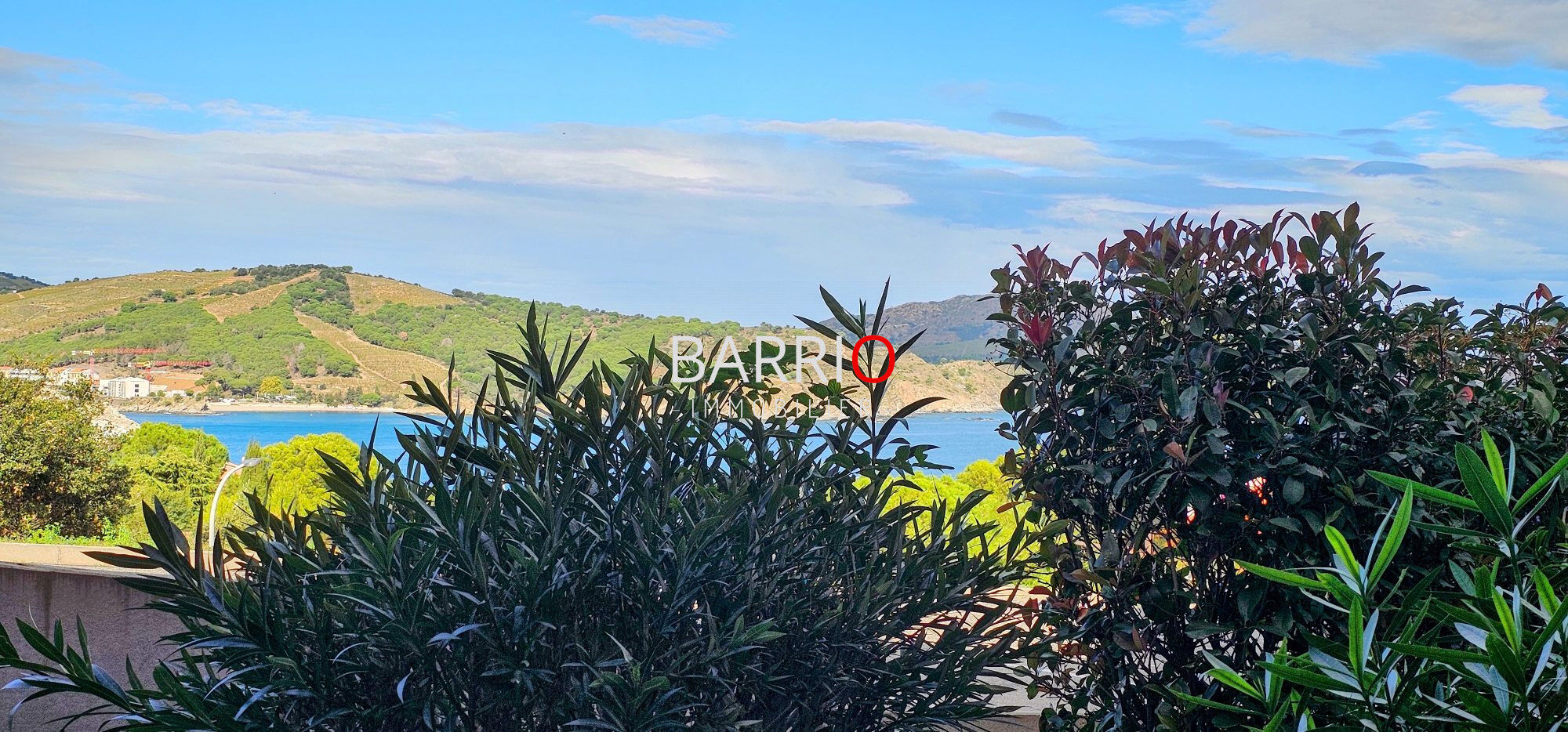 Appartement  T2 à vendre Banyuls-sur-Mer 66650