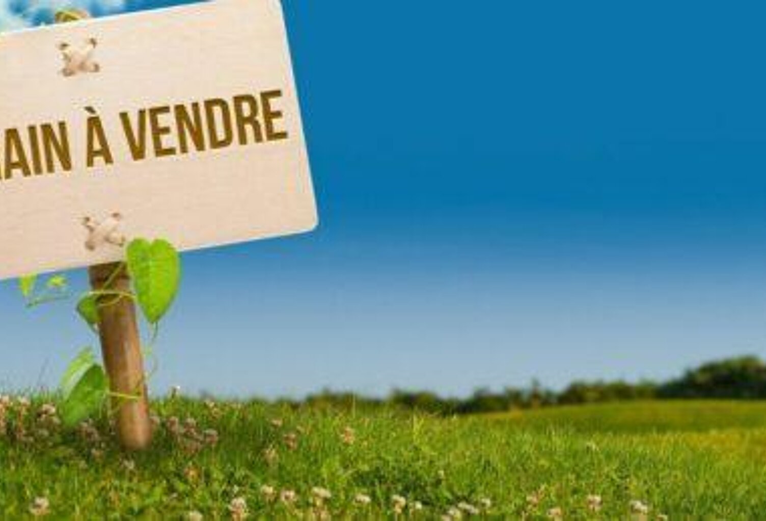 Vente terrain   Saint-Genouph (37510) — photo 1