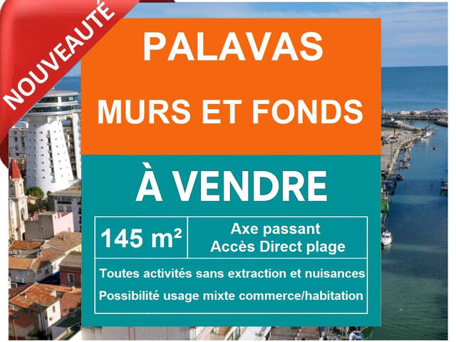 1 ERE LIGNE - MURS ET FONDS COMMERCE - PARKING /TERRASSE - P — photo du bien
