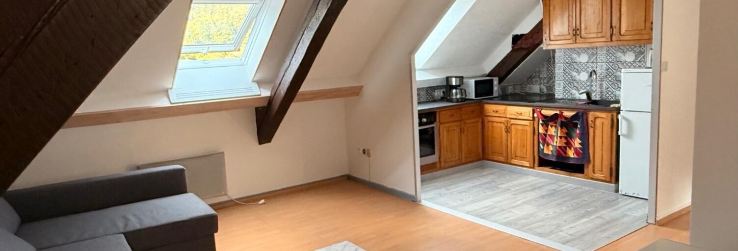 Appartement 3 Pièces 31 m² à vendre à Orbey (68370)